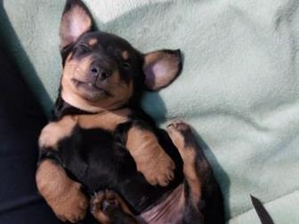 ����� � ����� ������ � ������� ���� ��������� ������ ��������� �����,  ������� 16, 08, 2019,  �������������� �������, �������� ����� ����� ������� ������� ����� � ������������