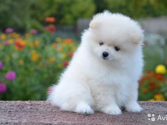 �������� ����� �������, ���������� ������ ��������� ����� �������� � �������, ����� ���� � ����� �, � 12 ����, ������ � ��������, ������� �� ��������,  �������������� � ������������