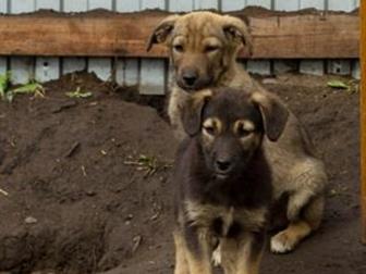 ��� �������� �� 2���,  ������� �����������,  � ��� ���� ���������� ����������� ����������� ��������� �������� ����� � ���������,  ������� � ������������