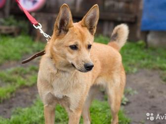 ������� ���� ������ ����� ������ �����,  ������ � �������� ,  ������� ����������� ��������� � ���������,  �������� � 2� �������� ������,  ������������� ���������� � ������������