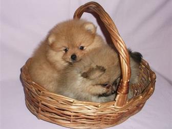 �������� ����� �����-������,�����-������,,������,������������,�������� � �������,�������� �� ��������, � ������������