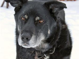 ����� - ������� � ��������� � ���� ��� � ����� �������� ���, �� �������, ��� �� ����������� ������ ������ �������!����� ��������� ��������, �������� � �������������, � ������������