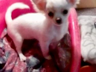 ������� ����/ �������� ��������������,  ��������!�������� ��������,������� �����������,  ��������� ������� ��� ����� ����� ������!����� , ��������, ����� �������� � ������������