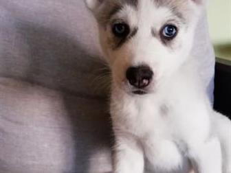 �������� �������?? ����� ��������, �������, ���������������, �������� 5 �������,  ������ ������ �������, ����� ������� � ���������  �������� (��� ����� �� ����), � ������������