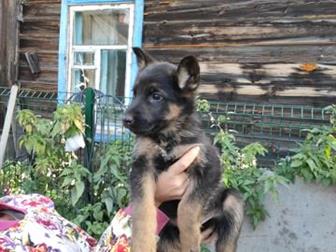 ������ ������ �������� �������,  �������� �������� �������� ���������,  2� ��������,  �������,  �������� ���������������� ����� ������ ��������� � ��������, � ������������