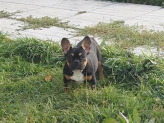 ��������� ������ (������ ��������)-������������ � �������, ����� �� �������!����� ��������,����� ����� �� �������� ����!����� ������ ������ ������������ � ����� � ������������