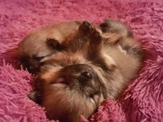 ������� � ������� ��������,  ������� � �������,  �������� 27 �������, ����-����� ���� ������, ����-����� ��������,  ���� ����� ���� ������ � ������������