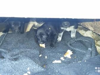 ������! ������ ���� �����! ����� �� ������ ������,  ����� �� �����, ����� ���� ?? � ������������