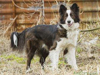 �����  ������, ������   �����, ������, ������, ������� 3 ����,��������������,   �������� � ��������  ��� � �/�  (� ������ ��� �� ��������)� ����� ������,  �������� � ������������