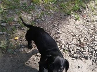 ����� 6�������,�������!��� ������� ���������� ��! � ���� ���� ���������� ������� � ���� ����� � �������� ��� �������, �� ������� ������! � ������������