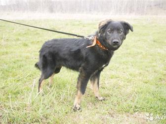 6 ������� , ������� ,�����, ����� �� ������ ����, � ������������