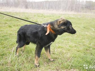 6 ������� , ������� ,�����, ����� �� ������ ����, � ������������