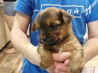 ����� ����� 1���,  ������ 21�������, ���������,��������, ������ ��������������,���� ����� ������, � ������������