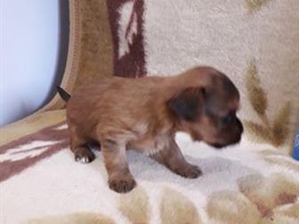 ����� ����� 1���,  ������ 21�������, ���������,��������, ������ ��������������,���� ����� ������, � ������������