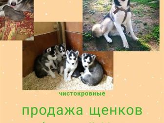 ������ ������ ��������� �����, ������������, ���� �������� 01, 12, 2018 �,  �����-������ � ����-������ ������, ����� �������, ��� �� ���� ����� � ������������� �������, � ������������