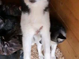 ������ ������ ��������� �����, ������������, ���� �������� 01, 12, 2018 �,  �����-������ � ����-������ ������, ����� �������, ��� �� ���� ����� � ������������� �������, � ������������