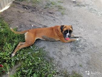 ������! ������ - ����� �� ��������! ����� �������! � ����� ��������� � ���� � �������� ������� 1,5����! � ������������