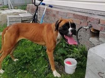 ������! ������ - ����� �� ��������! ����� �������! � ����� ��������� � ���� � �������� ������� 1,5����! � ������������