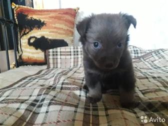 ��������� �����, ������ ��� ���� � ������������