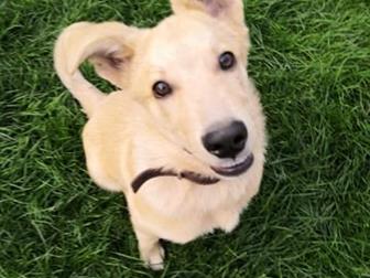 ���� ��� � ���������� ������ ??, ������, ������� ����� 4-5 �������,  2 ��� ����� ����������� ��� �����, � ����� �������� ����?? ������ ����� �� ����������, �� �� � ������������