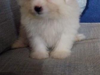 ������ ������� � �������, ��������� ����� �����-����� � �����,  ����� ���������� ������,  �������� 21 ����� 2019� ������� ������� �� ��������,  ���� ������� ������, � ������������