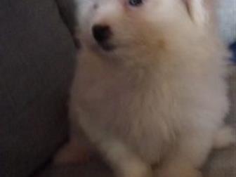 ������ ������� � �������, ��������� ����� �����-����� � �����,  ����� ���������� ������,  �������� 21 ����� 2019� ������� ������� �� ��������,  ���� ������� ������, � ������������