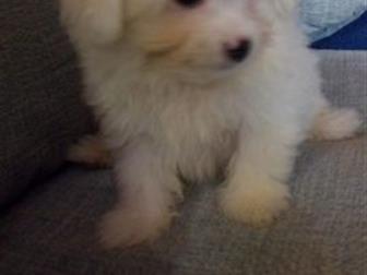 ������ ������� � �������, ��������� ����� �����-����� � �����,  ����� ���������� ������,  �������� 21 ����� 2019� ������� ������� �� ��������,  ���� ������� ������, � ������������