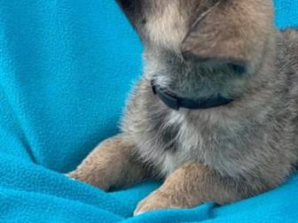 ��������� ��������� � ����� ��������� ����� ��� ������ �� ����� ������� ������,  �������, �� ������ ���������� ������� - ����� 2 ��� � �������� �������� �������, � ������������