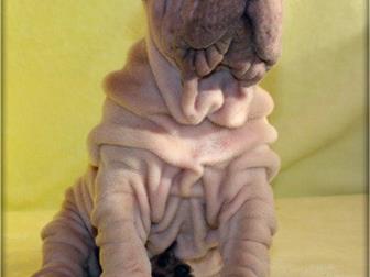 ������� � ��������  ������������ ������ � �������� ������� �������� ������ ���� ����� ���������!!!����������� �� ��������, ����������� ������ ��������� � ����������� � ������������