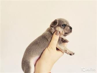 ������ ��� �������������� ����� �������� 31, 08, 2019 �,  �,  ��������,  ����� ����� ������������ ������� � ��������� � ���������,  �������� �� ������� ����,  ���� � ������������