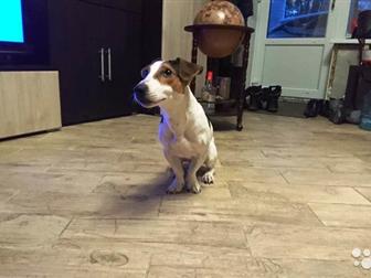 ������������ ���� ������ ������ ���� �������,  �������� �� �������� � ������������,  ��� ��� �����������, �� ����� ������, ��� ��� �� �����, ����� ��� ����, �� ��� � ������������