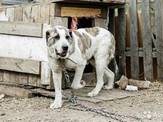 ?����� - ����� �������� ��������?����� - ����������������� ����������, ������� ������,  ��� ��������������� �������,  �������� �� ���� ������, ������� ������ ������, � ������������