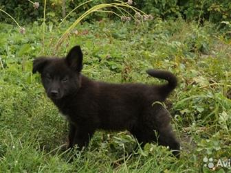 �����������! � ��� ��� � �������! � ������ ��������� � ��� �� ���� ������, ��� �� �, , ,  ����� � ���� ������, , ,  �� ���� �������, ��� � ���������!))) � � �� ����)) � ������������