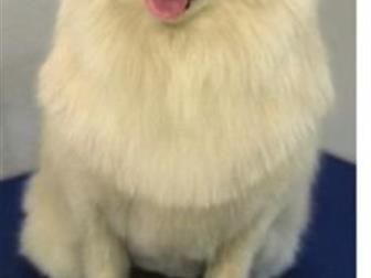 � ������ ���� � ������������