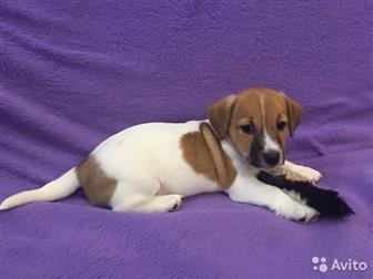 ��������� ����� ����-������, ��� ��������,  ���� �������� 07, 08, 19,  �� ������ ������� ��������� ��� (������� �����), ������������ �������, �������� �� ��������, � ������������