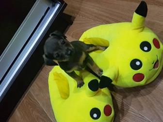 ������� ��� ������� ���� ������� ��� � ���))) �������� 29, 08, ����� ����� � ������� ������, 3 �������, 1 �������,  ���� ��������(4200), ���� ����(1800), � ������������