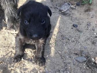 ����� ����� , ���� �������� ����������� ������� ���� ������� ?? ���� �� 2 ���� ,  �������� ���������� ����� ���� �� ������� �� ��� ??? ??? ������� 1 ����� , ������ � ������������