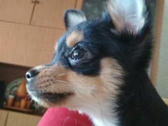 ������� ��� ������ ��� ���������� ������� 1���, ,��� 2��,  ���� ��������, � ������������