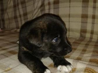 �������� ���� �������, � ������������