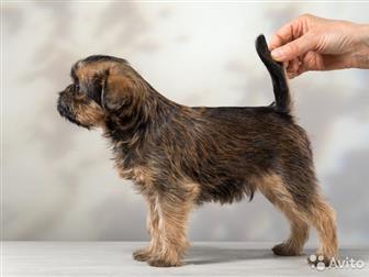 ����� ������������� �������� �� ���������, ����� ����������: ������������ �������, �������� � ������������� c����� , ������ ����������, ������,  ���������������� � ������������