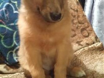 �������� ����� �� ������, ������� ������ 3 ����� �� �������, � ������������