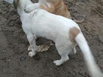 ����� �������,  ����� �������� � �������� ���� ���, � ������������