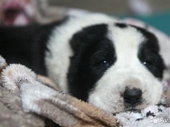 ���������� � ������� ����� ���, �������� �� �������������� ��������� ����,  ������� ������, ��������, � �������� �������, ������� ��������, ������ �� ������,������� � ������������