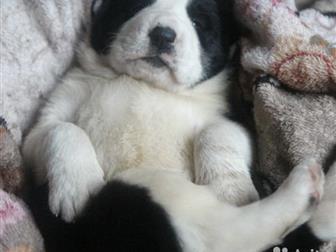 ���������� � ������� ����� ���, �������� �� �������������� ��������� ����,  ������� ������, ��������, � �������� �������, ������� ��������, ������ �� ������,������� � ������������