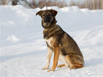 �����������, ������, �������������,  ���� ���������� ������ ��� �������-��������� ����!��������, �������, ��������� � ������� � ��� ��� ����,  ������� 9 �������, � ������������