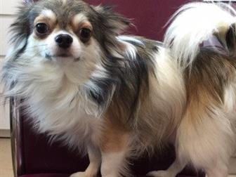 ������������ ��� ����� ��������,������� ������ � �����������,��������� ������� �������, ������� ��������, � ������������