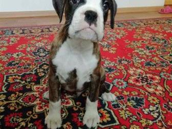 ������� ����� (�� ����) �������� � ������ ������� ����������, ������ �������� �������, ����� ������� � �����������,  �������� � ����� � ������,  ������ � ������� � ������������