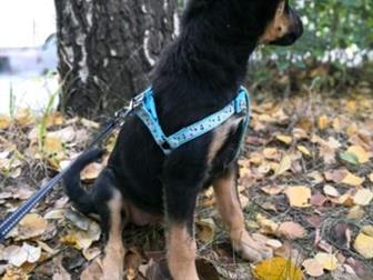 ����� ������ ���� ������� �� �������� �� ����� � ����, ������ ��������� �� ���������� ���� � ������, ������ ����� � �������� ����������� 3, 5������� ��������� �������� � ������������