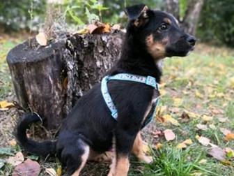 ����� ������ ���� ������� �� �������� �� ����� � ����, ������ ��������� �� ���������� ���� � ������, ������ ����� � �������� ����������� 3, 5������� ��������� �������� � ������������