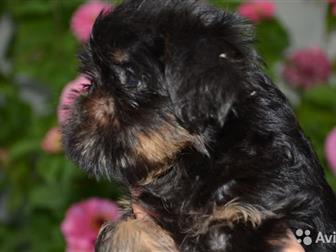 ������ ������ ������������ � ������������� ��������, ��������� ���, ��������, �������� � �������,  ���� ������, � ������������